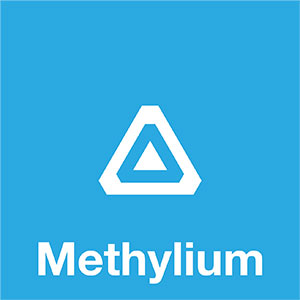 methylium logo